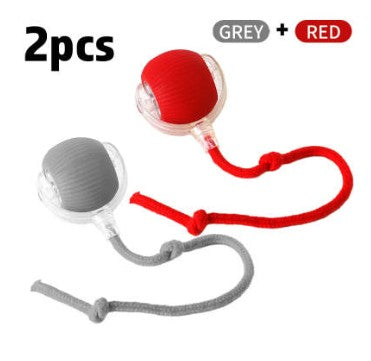 Interactive Toy Ball
