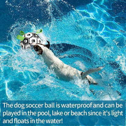 Interactive Dog Inflated Soccer Ball Toy For Training And Outdoor Play
