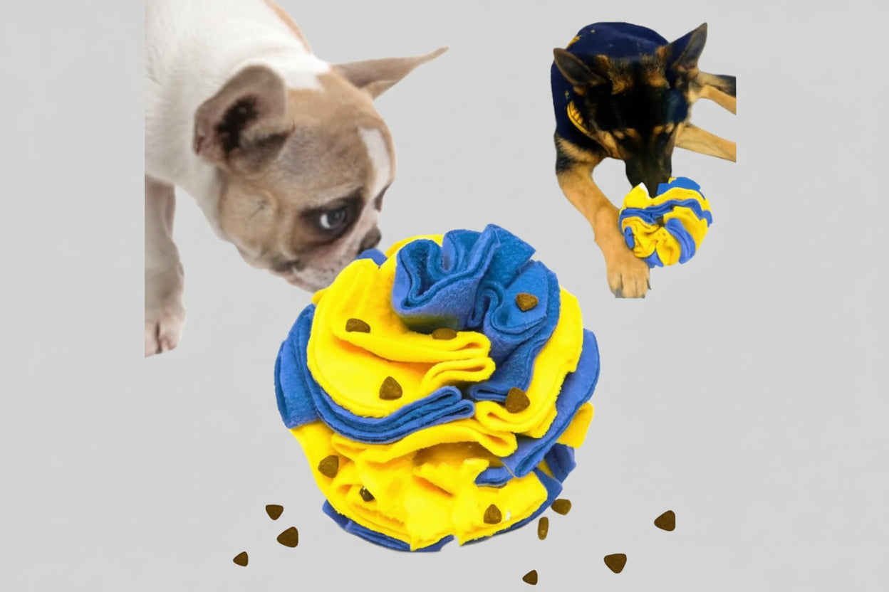 Interactive Foraging Dog Snuffle Ball Puzzle Toy - Yellow And Blue