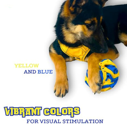 Interactive Foraging Dog Snuffle Ball Puzzle Toy - Yellow And Blue