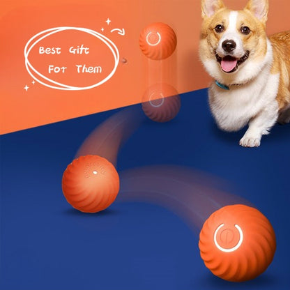 Bite Resistant Dog Rubber Ball Toy For Chewers And Training