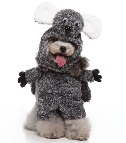 Cute Dog  Costumes For Halloween And Christmas Dress-Up