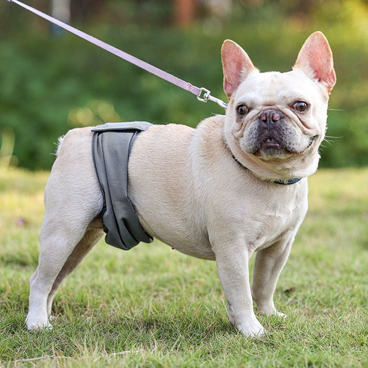 Sterilization Menstrual Panties Dog Diaper Pants Bellyband