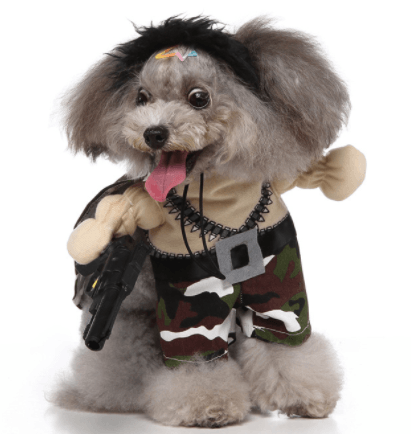 Cute Dog  Costumes For Halloween And Christmas Dress-Up