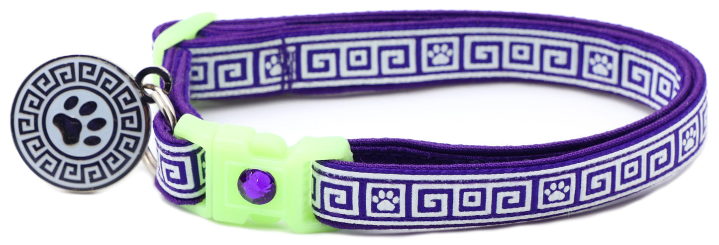 Glow on The Dark Breakaway Cat Collar