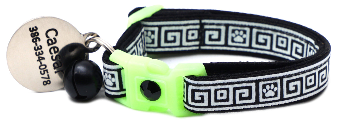 Glow on The Dark Breakaway Cat Collar