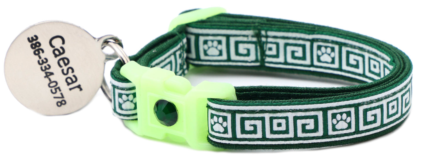 Glow on The Dark Breakaway Cat Collar
