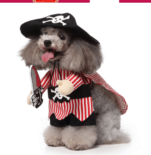 Cute Dog  Costumes For Halloween And Christmas Dress-Up