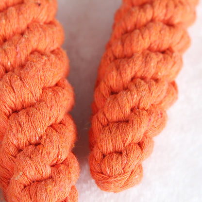 Dog Chew Toy Carrot