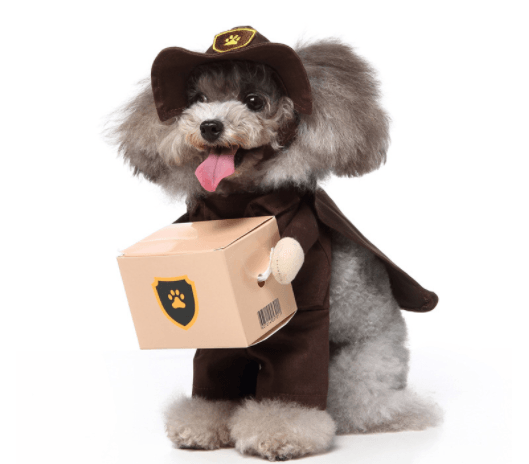 Cute Dog  Costumes For Halloween And Christmas Dress-Up