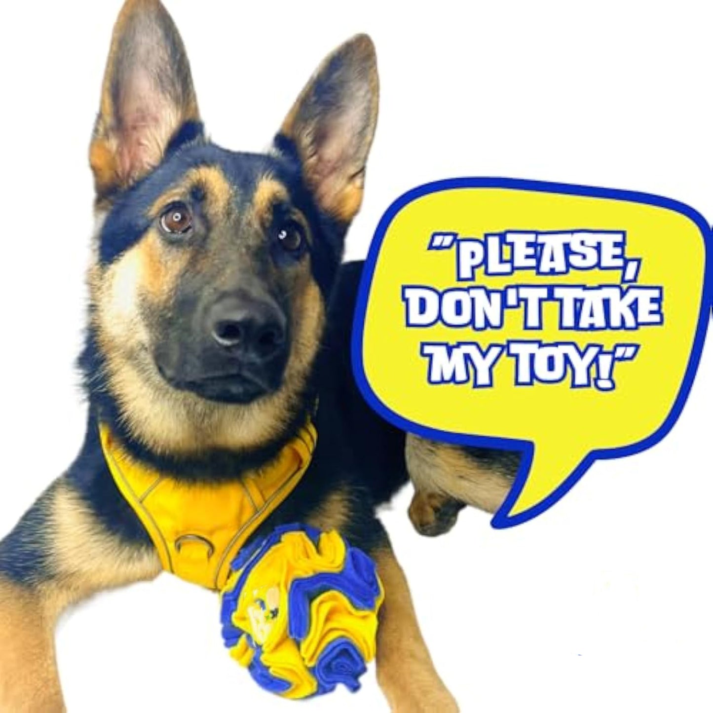 Interactive Foraging Dog Snuffle Ball Puzzle Toy - Yellow And Blue