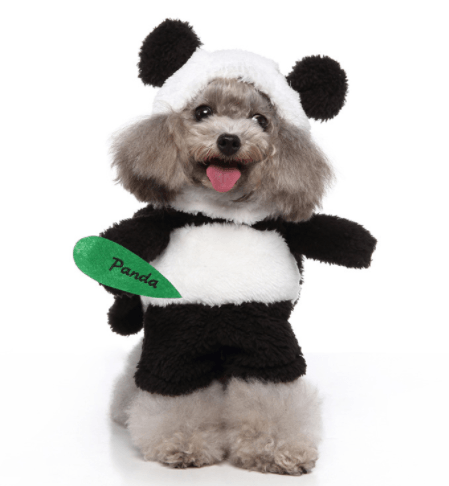 Cute Dog  Costumes For Halloween And Christmas Dress-Up