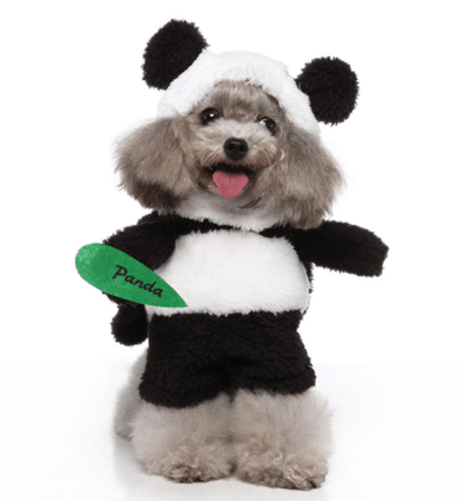 Cute Dog  Costumes For Halloween And Christmas Dress-Up