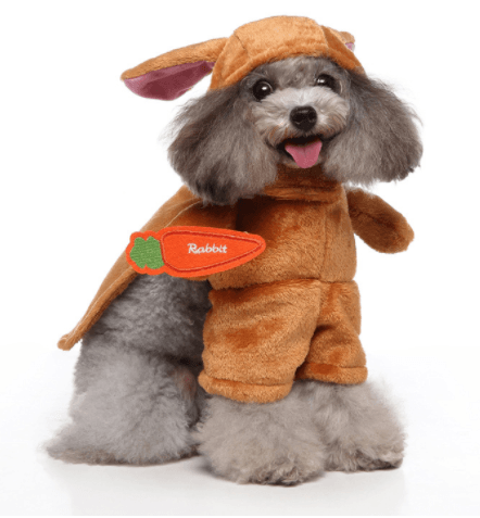 Cute Dog  Costumes For Halloween And Christmas Dress-Up
